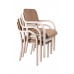 Aliwood Arm Chair